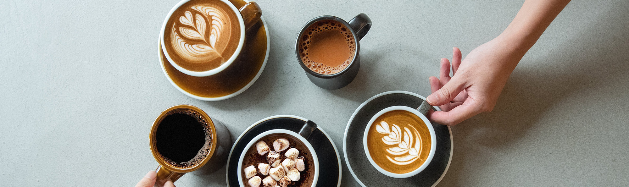 Kikkerland -Kikkerland 1