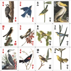 KIKKERLAND 3D Playing Cards - Birds -Kikkerland Bird Cards top left