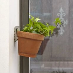 KIKKERLAND Floating Plant Hangers - Set Of 3 -Kikkerland CD156 Action 6c975828 ccd0 4a08 b6a5 051be5f4c253