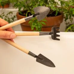 KIKKERLAND Mini Garden Tool Set - For Indoor And Small Plant Gardening -Kikkerland CD523 MiniGardenToolSet action 1