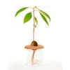 KIKKERLAND TERRACOTTA SEED SPROUTERS 1 KIKKERLAND TERRACOTTA SEED SPROUTERS -Kikkerland CD535 SeedSprouter Action