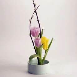 KIKKERLAND Mini Ikebana Kit