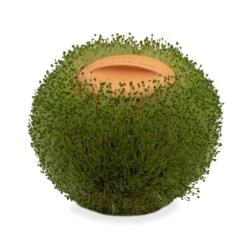 KIKKERLAND Green Orb Terracotta Planter -Kikkerland CD547