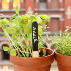 KIKKERLAND Reusable Garden Markers - Set Of 12 - Kitchen Garden - Flower Bed -Kikkerland GA06 GARDEN MARKERS ACTION 4322