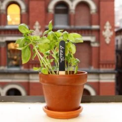 KIKKERLAND Reusable Garden Markers - Set Of 12 - Kitchen Garden - Flower Bed -Kikkerland GA06 GARDEN MARKERS ACTION 4326