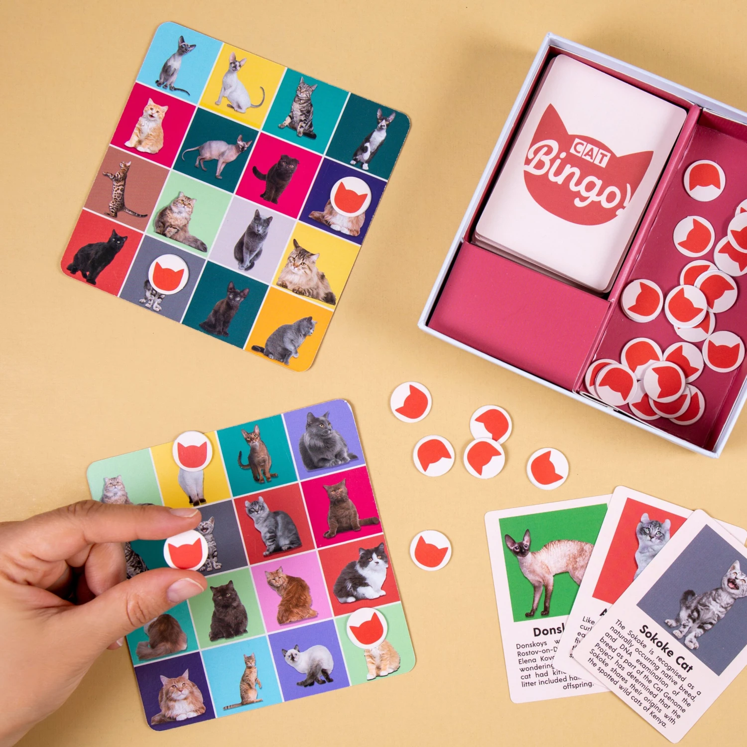 KIKKERLAND Cat Bingo 4 KIKKERLAND Cat Bingo - Image 2
