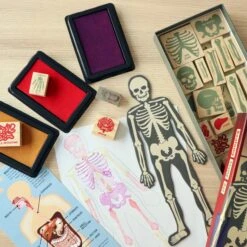 KIKKERLAND Anatomy Stamp Set -Kikkerland GG237 Action