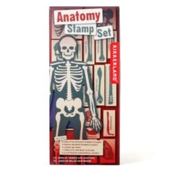 KIKKERLAND Anatomy Stamp Set -Kikkerland GG237 PKG