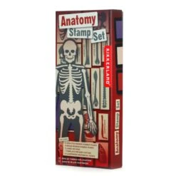KIKKERLAND Anatomy Stamp Set -Kikkerland GG237 PKG1