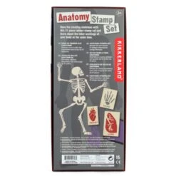 KIKKERLAND Anatomy Stamp Set -Kikkerland GG237 PKG2