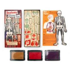 KIKKERLAND Anatomy Stamp Set