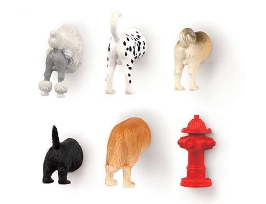 KIKKERLAND Dog Butt Magnets 6 Per Set 4 KIKKERLAND Dog Butt Magnets 6 Per Set - Image 2