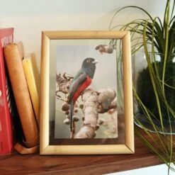 KIKKERLAND Large Floating Frame