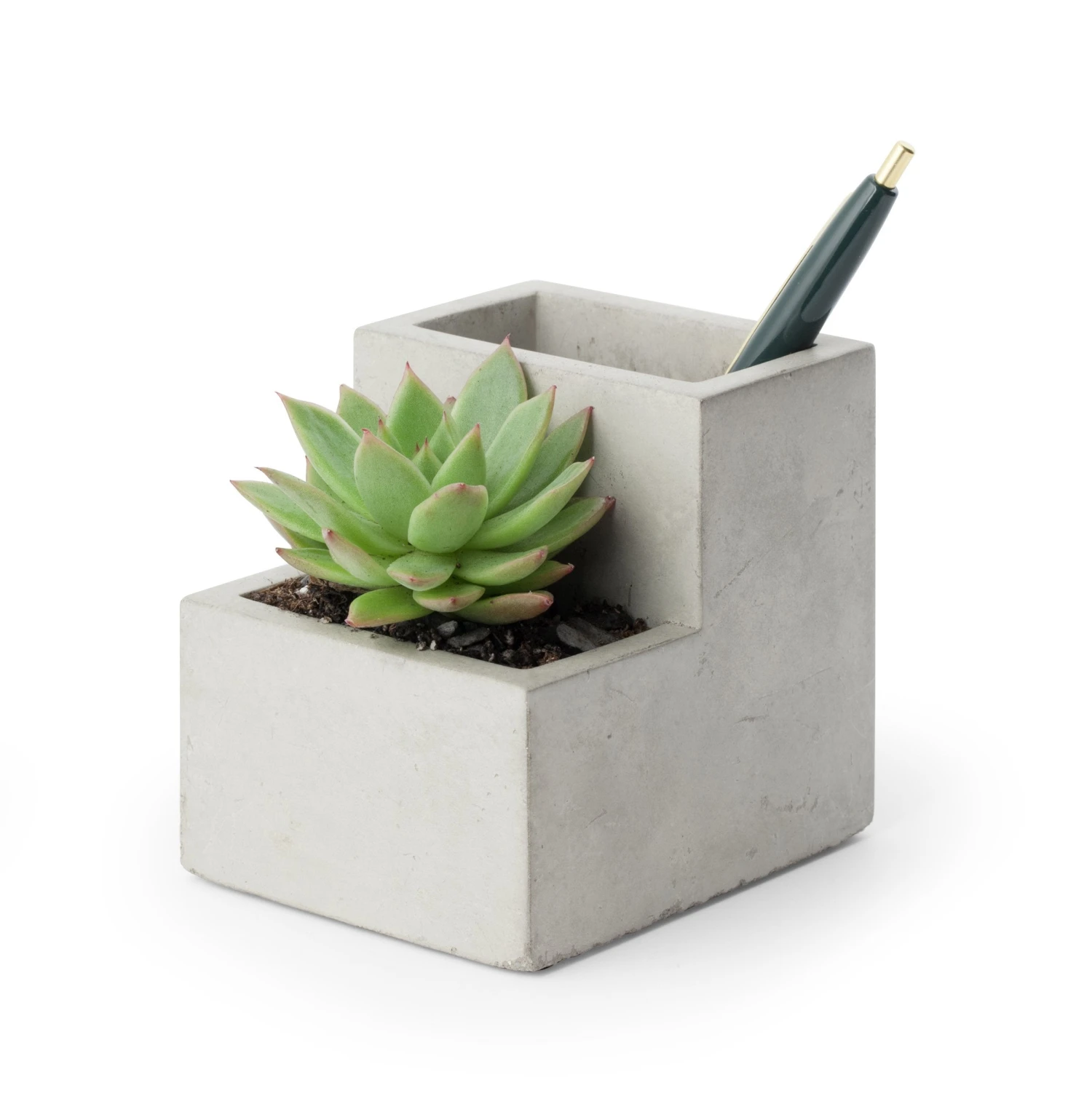 KIKKERLAND Concrete Small Planter And Pen Holder 3 KIKKERLAND Concrete Small Planter And Pen Holder