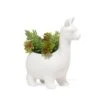 KIKKERLAND Lloyd The Llama Planter 1 KIKKERLAND Lloyd The Llama Planter -Kikkerland PL08 Lama WB Plant 3Q 0096
