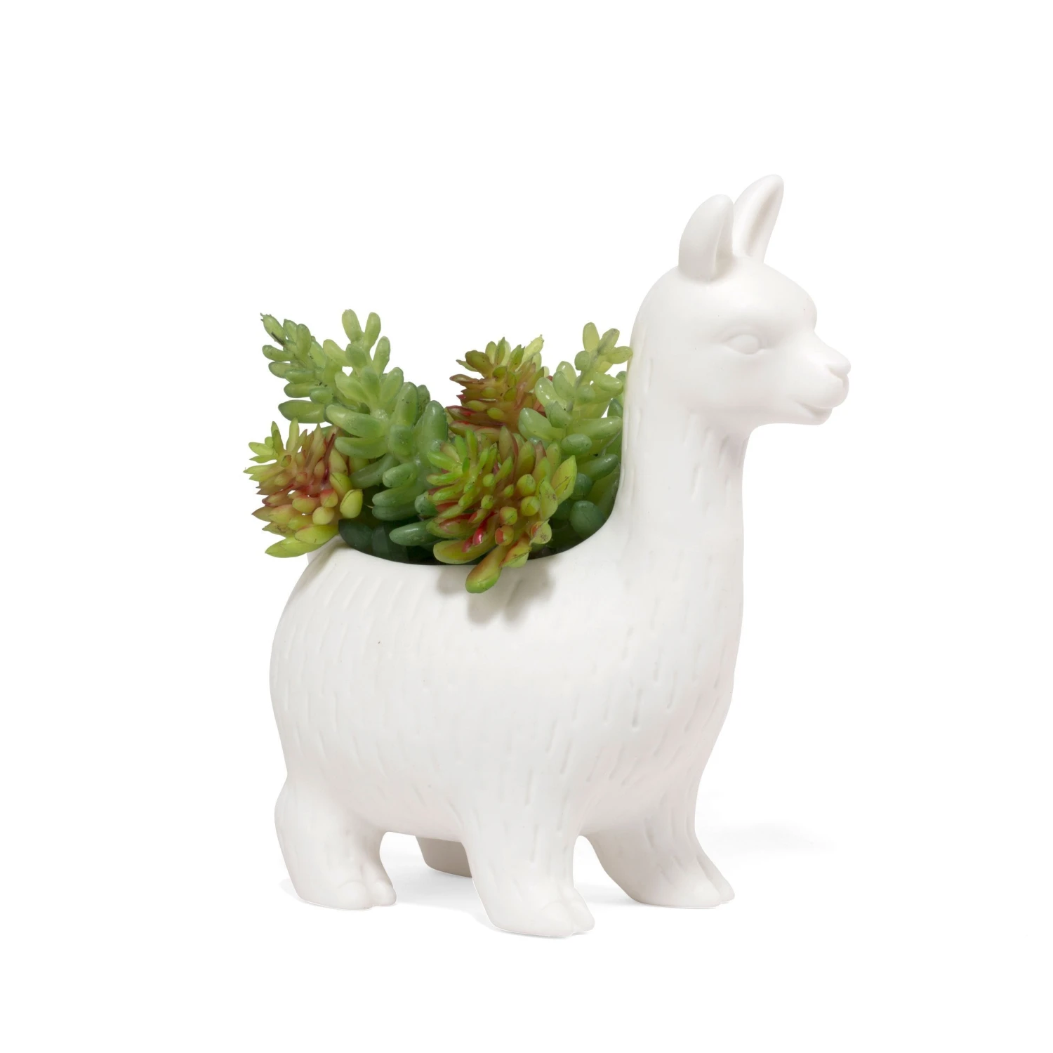KIKKERLAND Lloyd The Llama Planter 3 KIKKERLAND Lloyd The Llama Planter