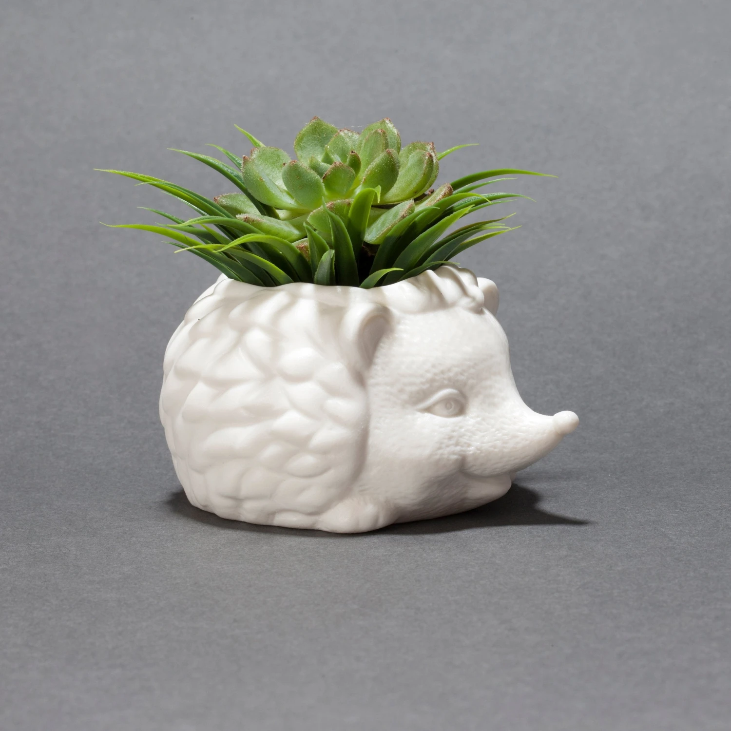 KIKKERLAND Prickles The Hedgehog Planter 5 KIKKERLAND Prickles The Hedgehog Planter - Image 3