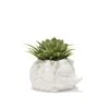 KIKKERLAND Prickles The Hedgehog Planter -Kikkerland PL09 Hedgehog Planter WB Plant 3Q 6791