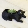 KIKKERLAND Cosmo The Black Cat Planter