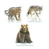 KIKKERLAND American Mammals Bookmark -Kikkerland ST124 1